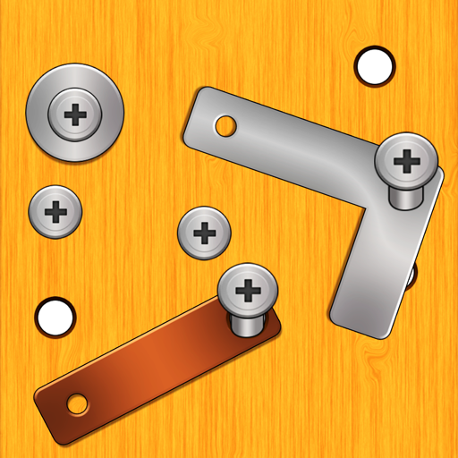 screw nuts and bolts puzzle