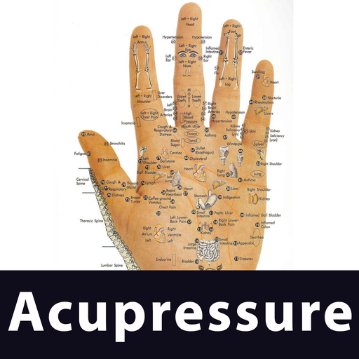 learn acupressure points