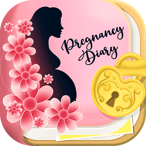 pregnancy diary with lock